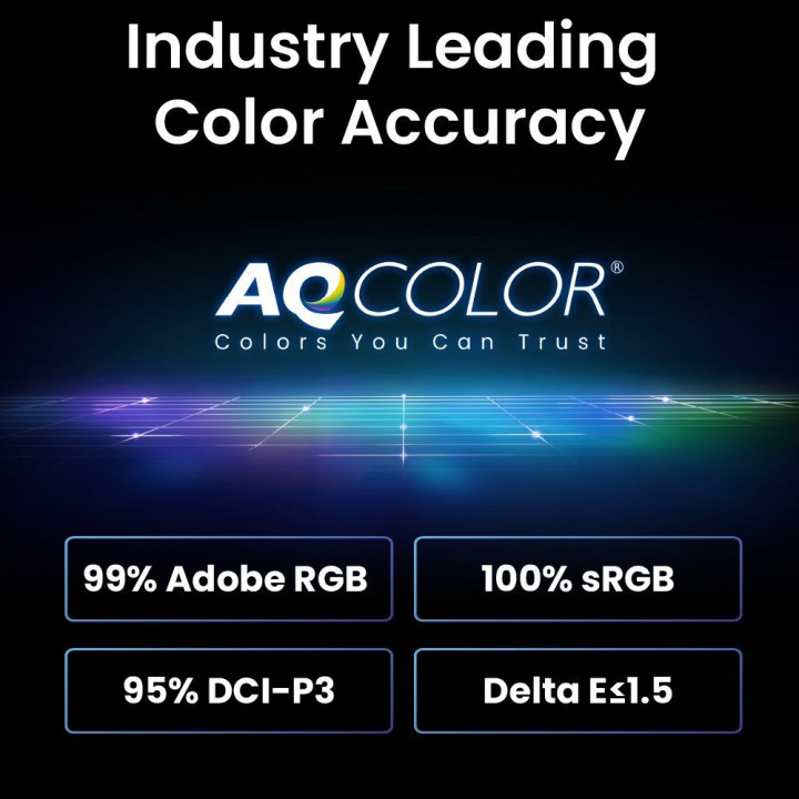 BENQ 24.1 W 1610 2560X1600 IPS 10001